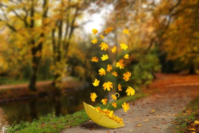 Image of Autumn atmosphere. Golden leaves flying out of yellow umbrella on footpath in beautiful park