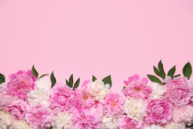 Photo of Beautiful peony flowers and green leaves on pink background, flat lay. Space for text