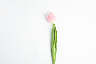 Photo of Beautiful pink spring tulip isolated on white, top view