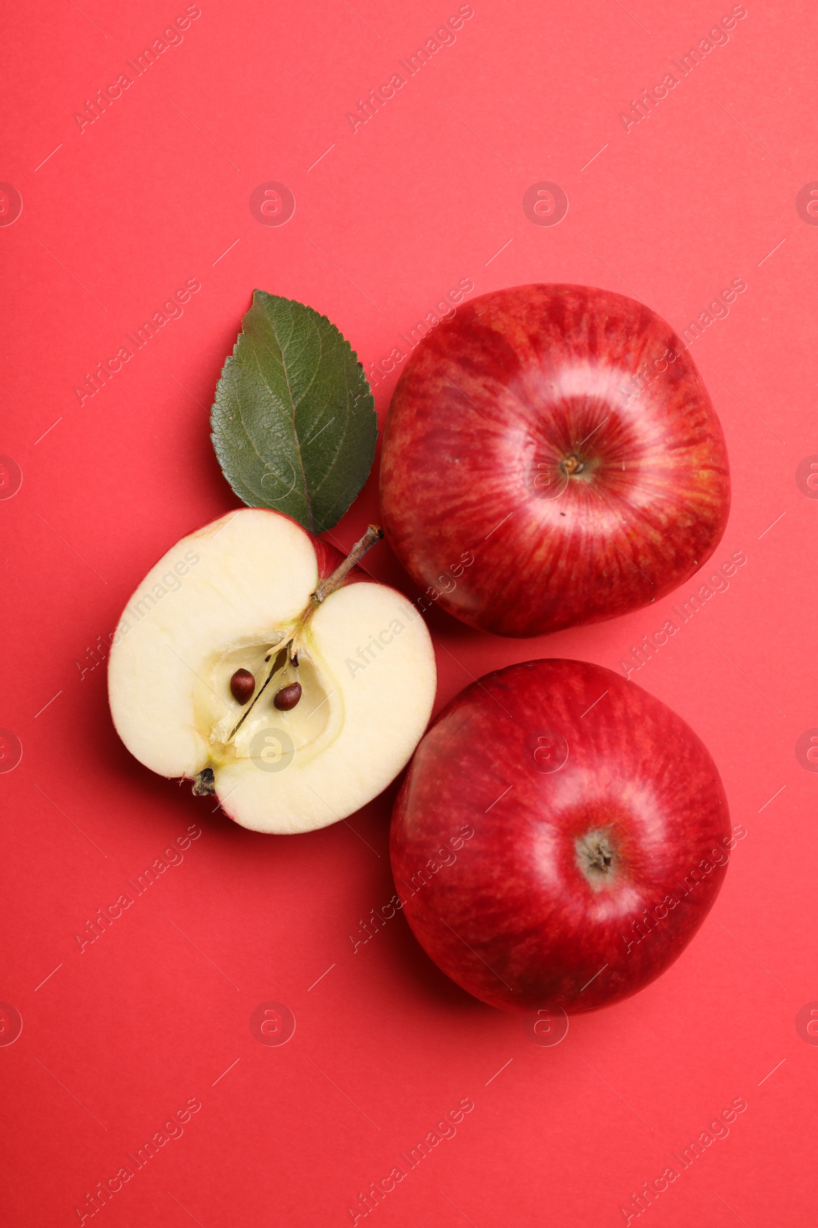 Photo of Whole, cut red apples and green leaf on color background, flat lay