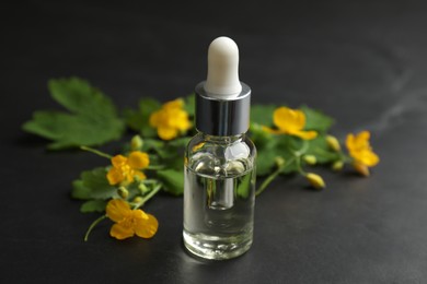 Bottle of natural celandine oil near flowers on black table, closeup