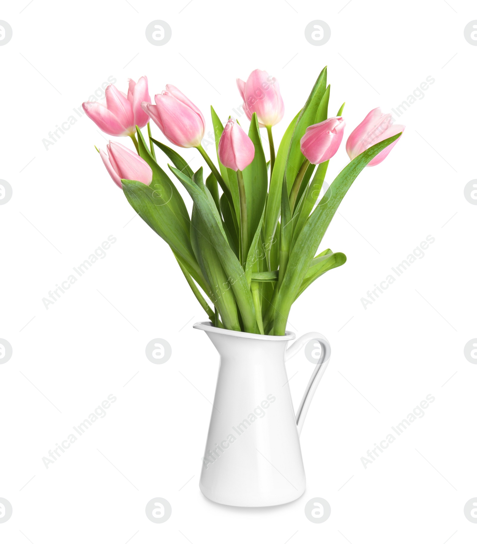 Photo of Beautiful pink spring tulips in vase isolated on white