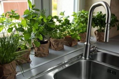 Different aromatic potted herbs on window sill near kitchen sink