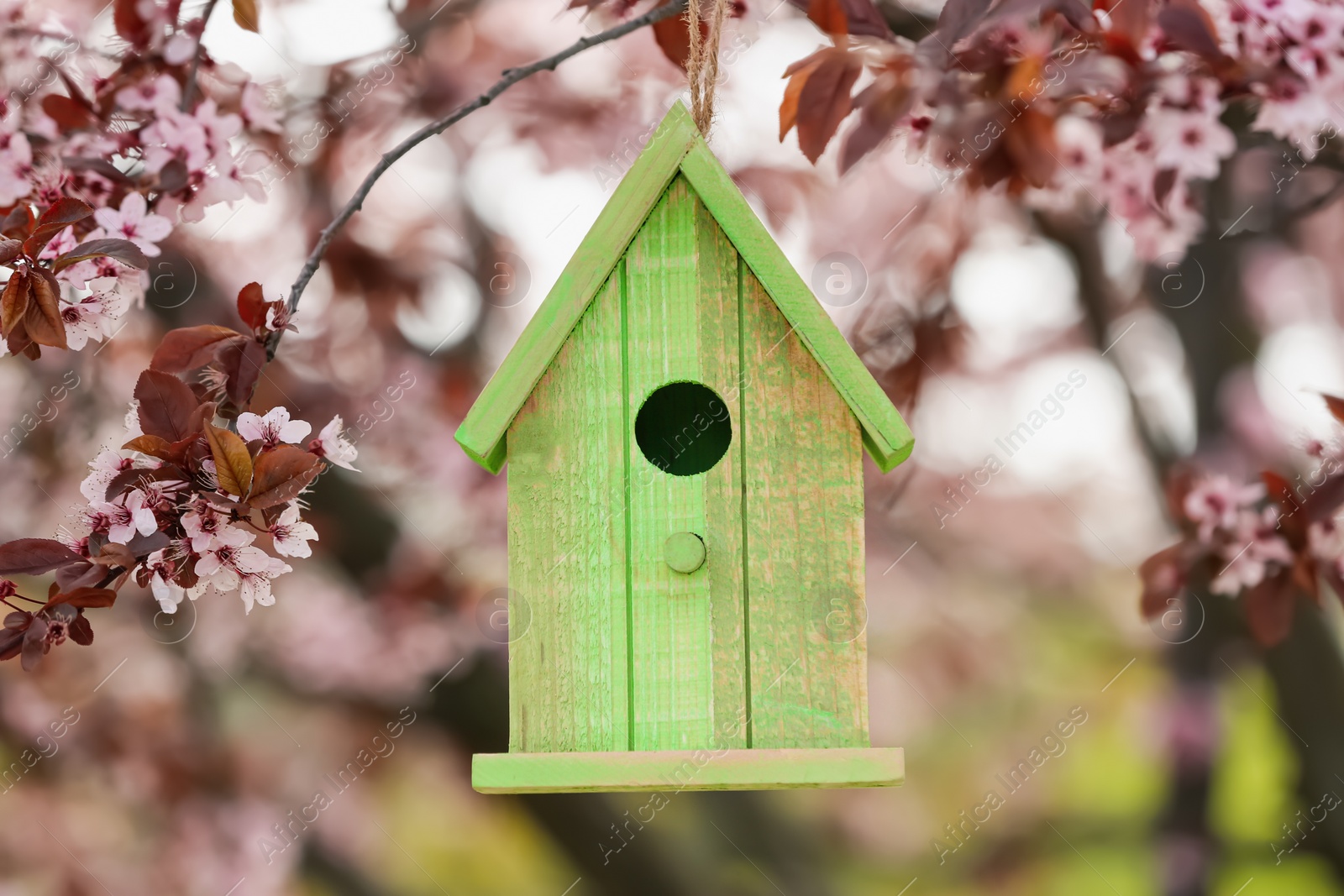 Photo of Green wooden bird house hanging from tree branch outdoors