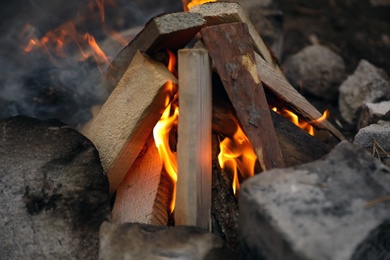 Photo of Beautiful bonfire with burning firewood outdoors, closeup