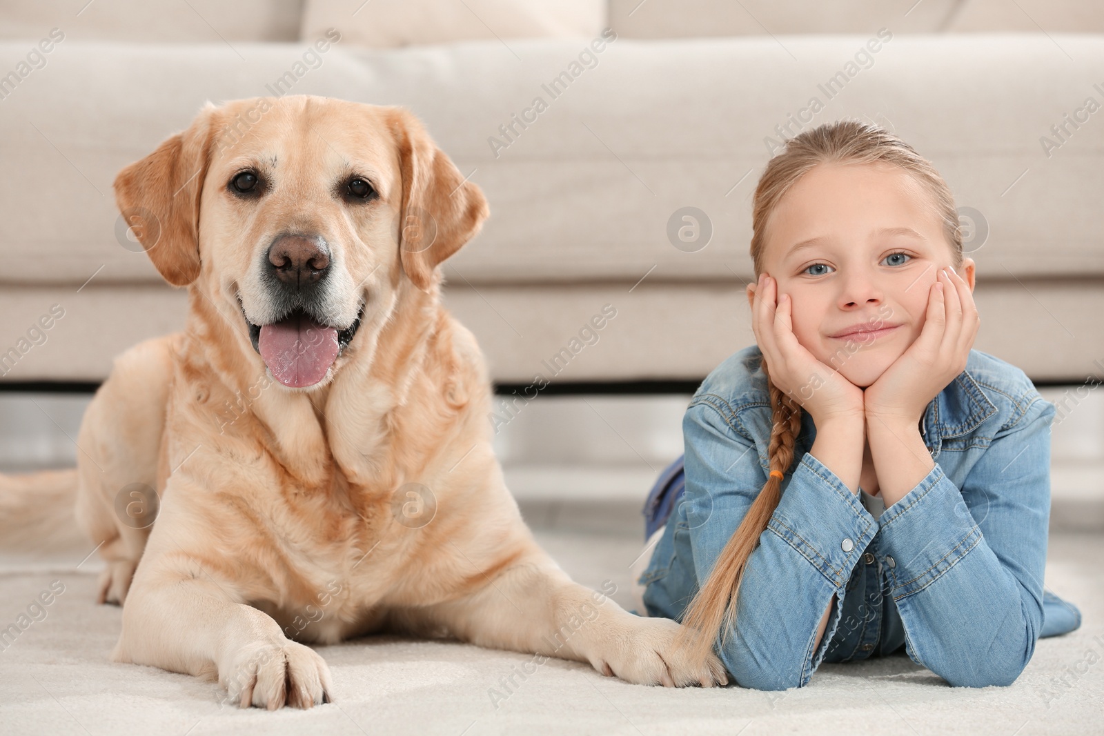 Photo of Cute child with her Labrador Retriever on floor at home. Adorable pet