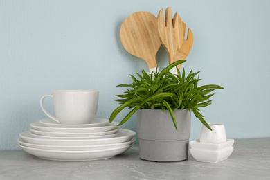 Photo of Green plant and different kitchenware on table near color wall. Modern interior design