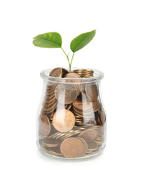 Photo of Glass jar with coins and plant isolated on white