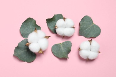 Cotton flowers and eucalyptus leaves on pink background, flat lay