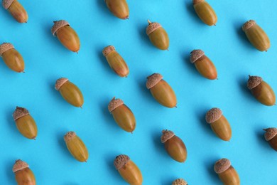 Many green acorns on light blue background, flat lay