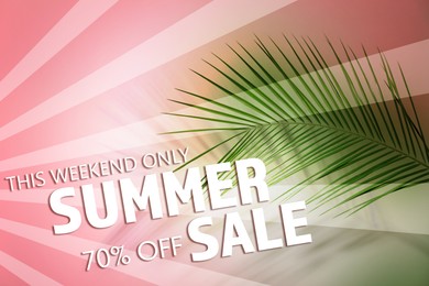Image of Hot summer sale flyer design with green palm leaf on pink background