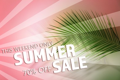 Hot summer sale flyer design with green palm leaf on pink background