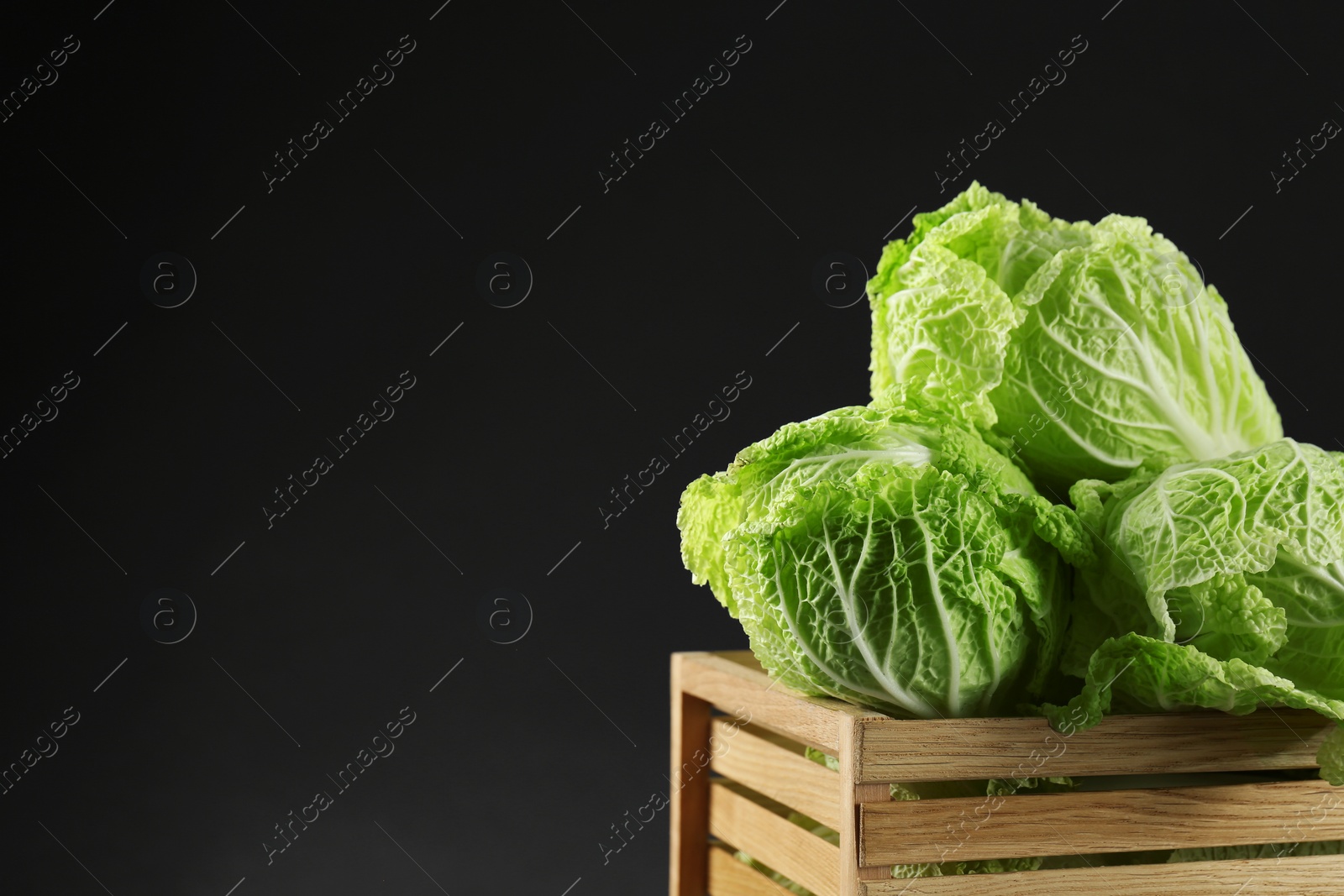 Photo of Fresh ripe Chinese cabbages in wooden crate on black background, space for text