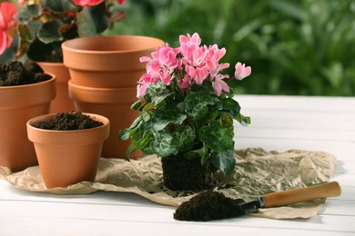 Photo of Beautiful flower, pots and trowel on white wooden table outdoors