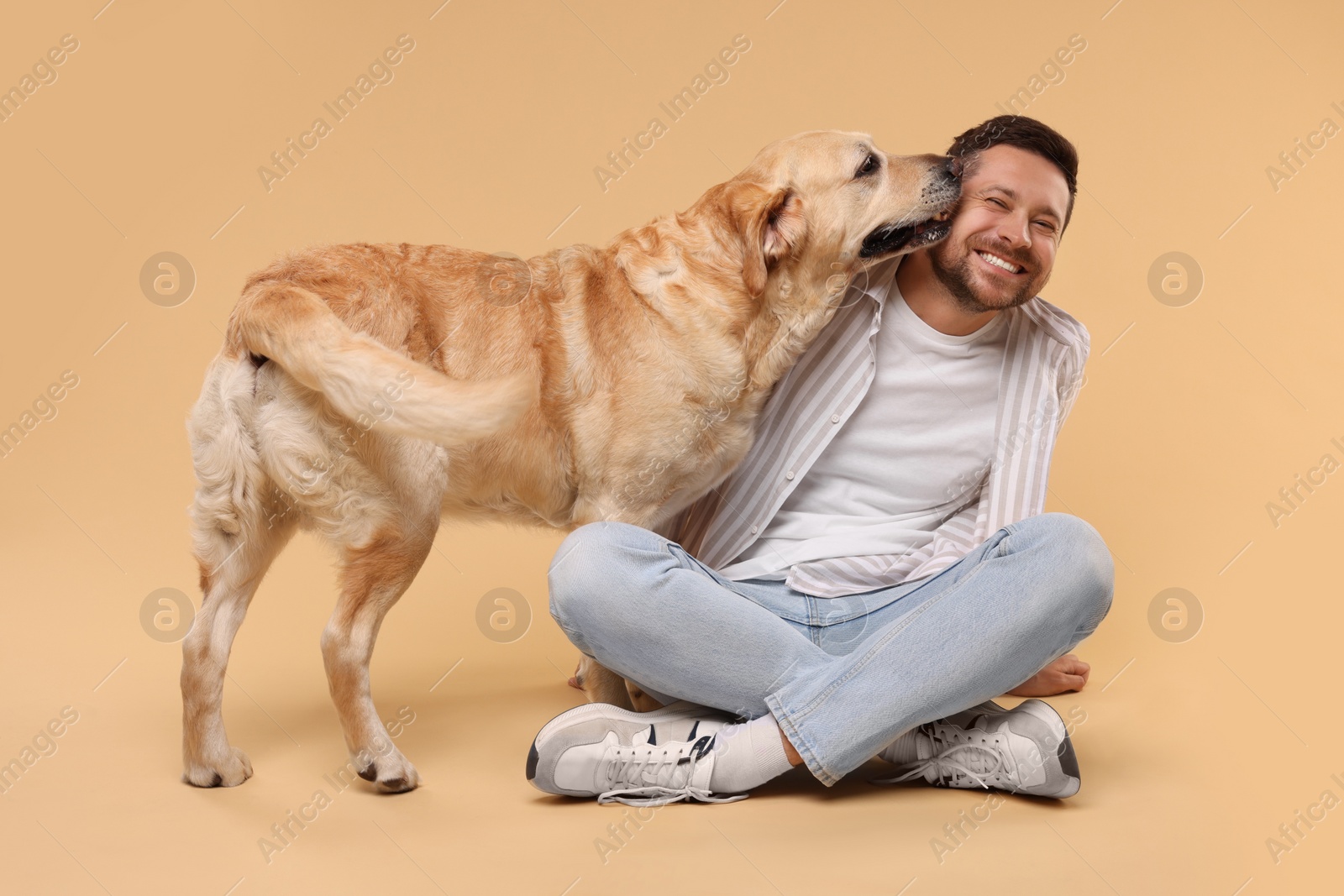 Photo of Man with adorable Labrador Retriever dog on beige background. Lovely pet