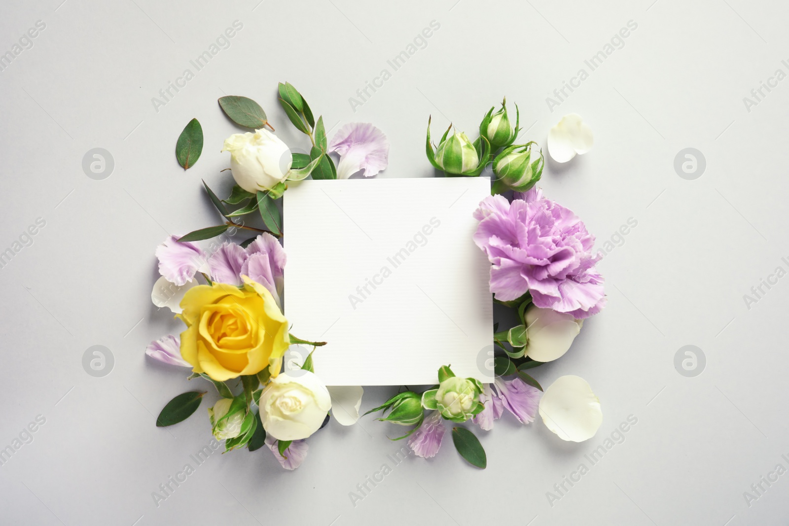 Photo of Flat lay composition with beautiful blooming flowers on grey background