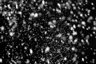 Photo of Snow flakes falling on black background. Winter weather