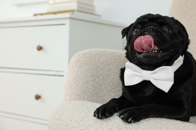 Photo of Cute Pug dog with white bow tie on neck in room, space for text