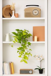 Spring atmosphere. Shelves with stylish accessories, potted plant and orchid indoors