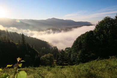 Photo of Picturesque view of fog in mountains on sunny day