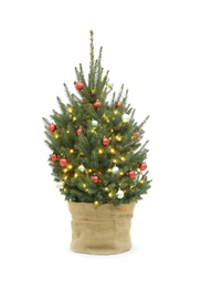 Natural decorated Christmas tree isolated on white