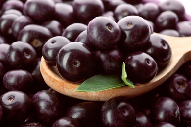 Wooden spoon and fresh ripe acai berries as background, closeup