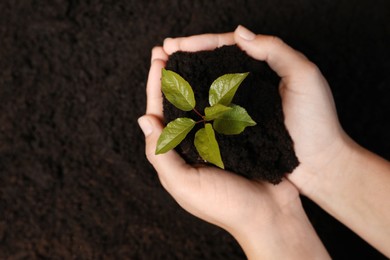 Photo of Woman holding soil with young green seedling near ground, top view. Planting tree
