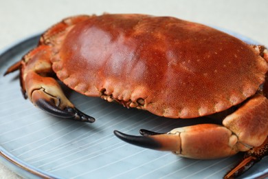 Photo of Delicious boiled crab on plate, closeup view