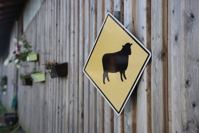 Photo of Sign with picture of sheep on wooden wall outdoors. Farm animal