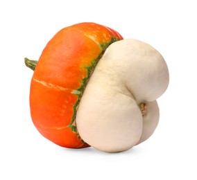 Photo of One fresh ripe pumpkin isolated on white