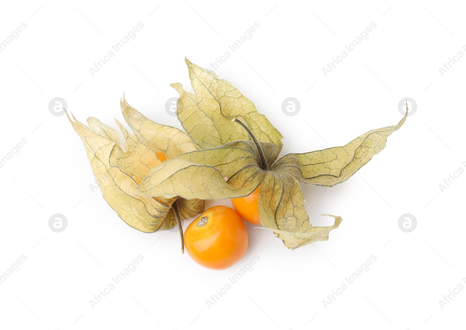 Photo of Many ripe physalis fruits with calyxes isolated on white, top view