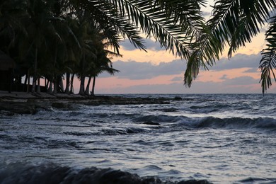 Image of Beautiful sunset on ocean. Tropical beach with palm trees