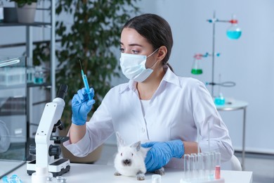 Photo of Scientist with syringe and rabbit in chemical laboratory. Animal testing