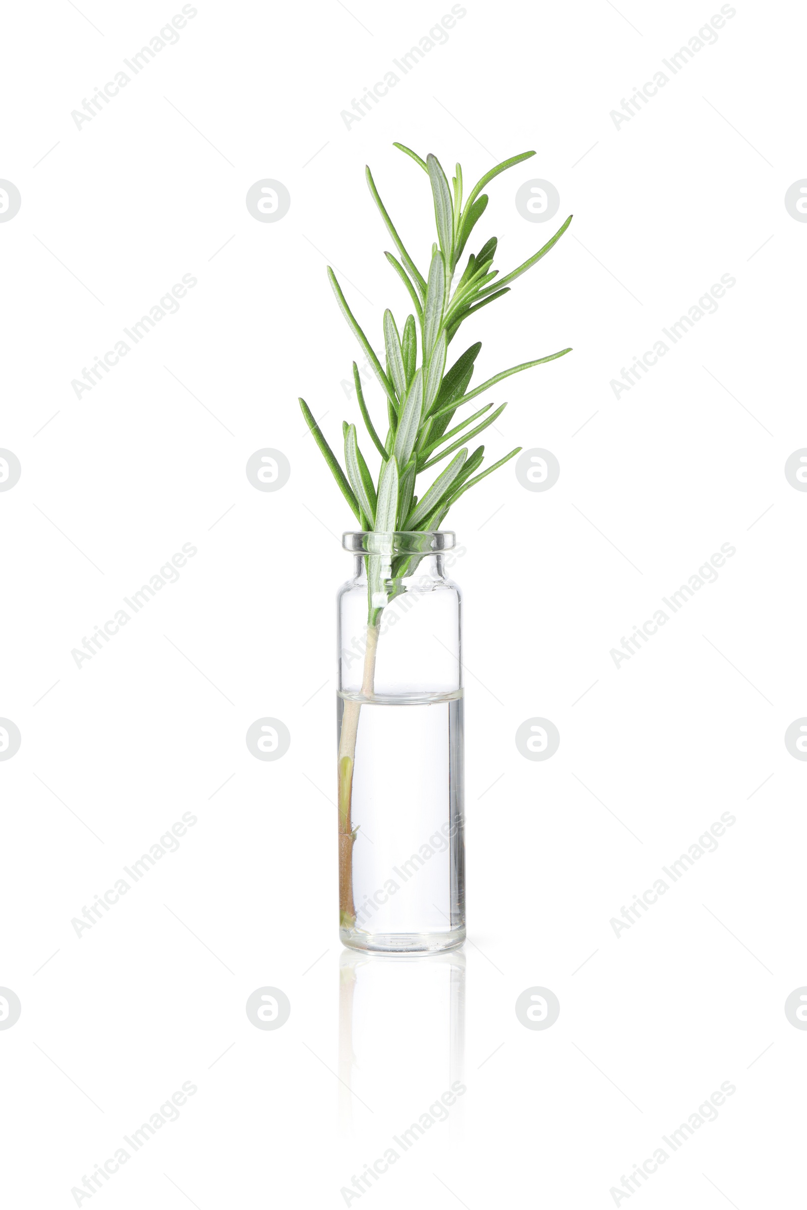 Photo of Bottle with essential oil and rosemary isolated on white
