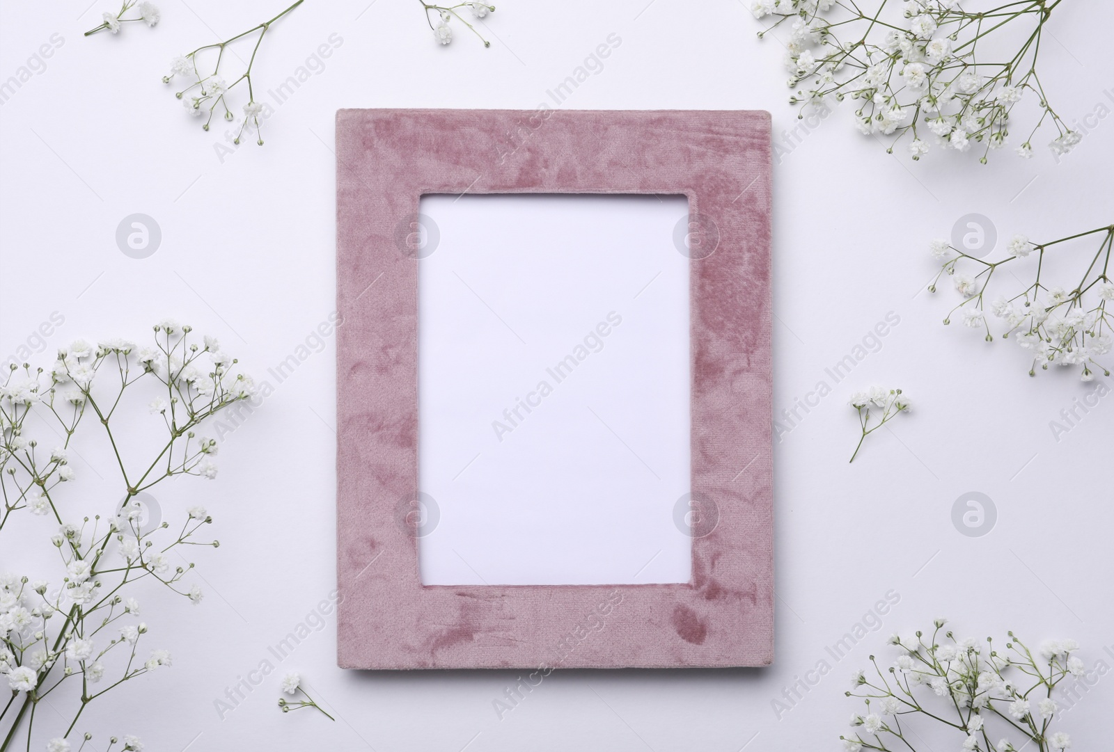 Photo of Frame and beautiful gypsophila flowers on white background, flat lay. Space for text