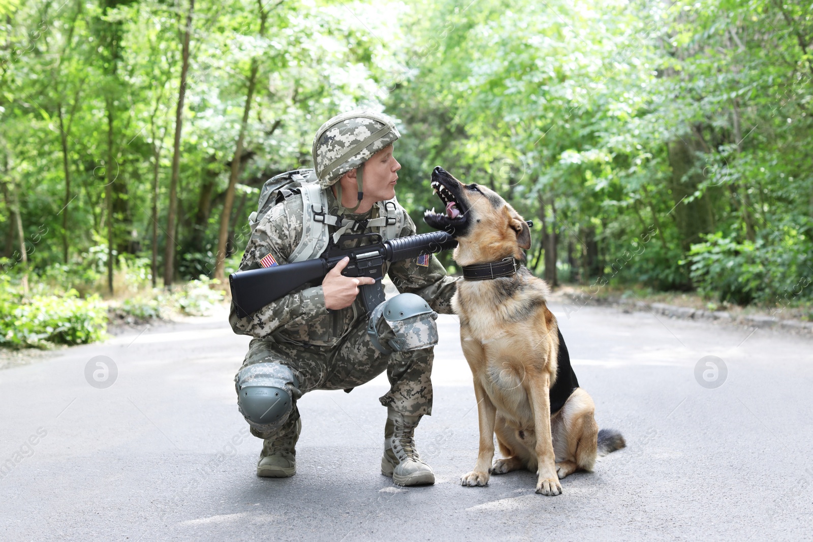 Photo of Man in military uniform with German shepherd dog, outdoors