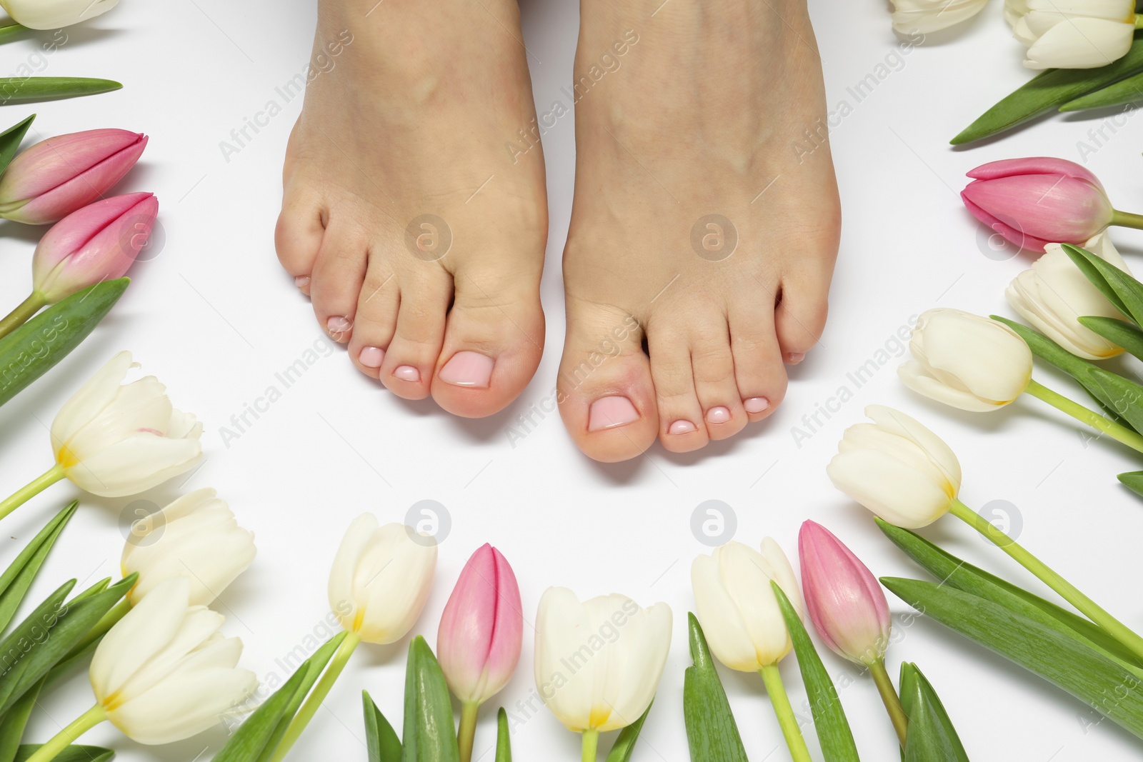 Photo of Woman with neat toenails after pedicure procedure on light background, closeup