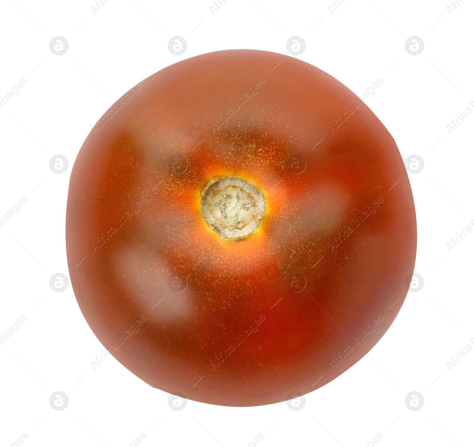 Photo of Fresh ripe brown tomato on white background