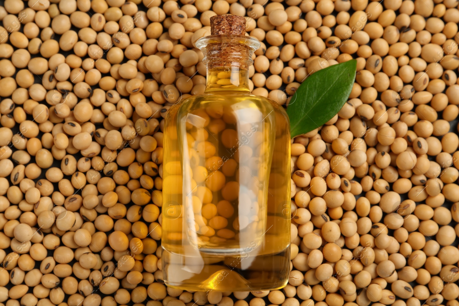 Photo of Bottle of oil and green leaf on soybeans, top view