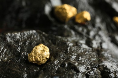 Photo of Shiny gold nugget on wet stone, closeup. Space for text