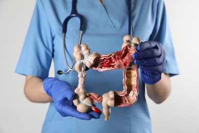 Gastroenterologist holding human colon model on white background, closeup