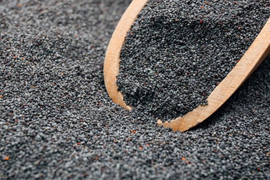 Photo of Poppy seeds and wooden scoop, closeup view