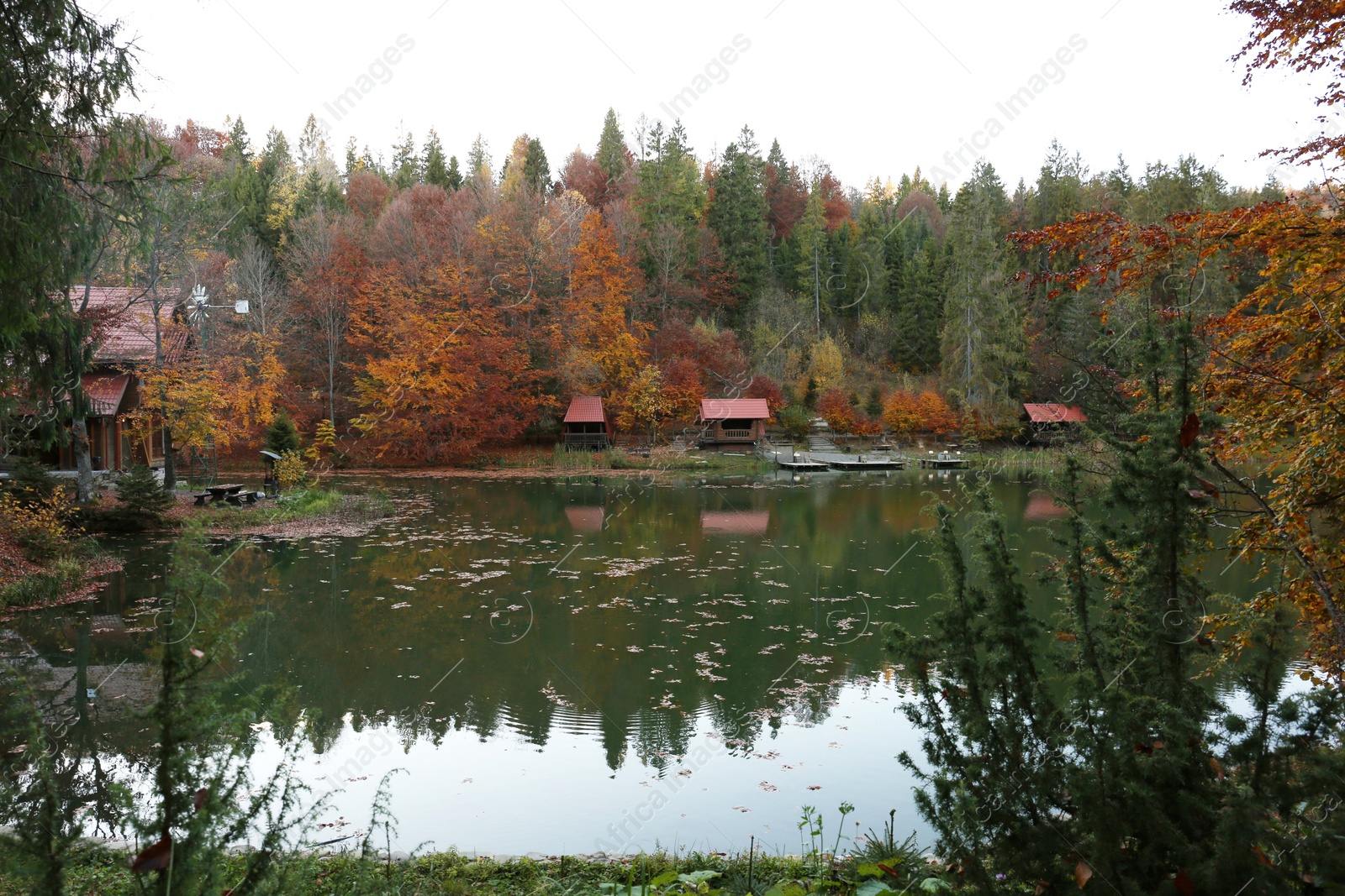 Photo of Beautiful landscape with forest and houses near lake. Camping season