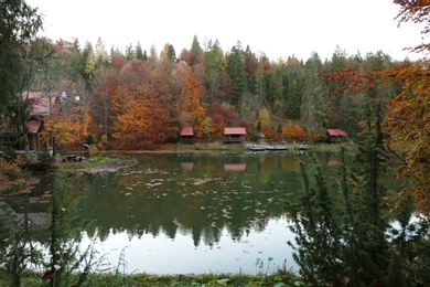 Photo of Beautiful landscape with forest and houses near lake. Camping season