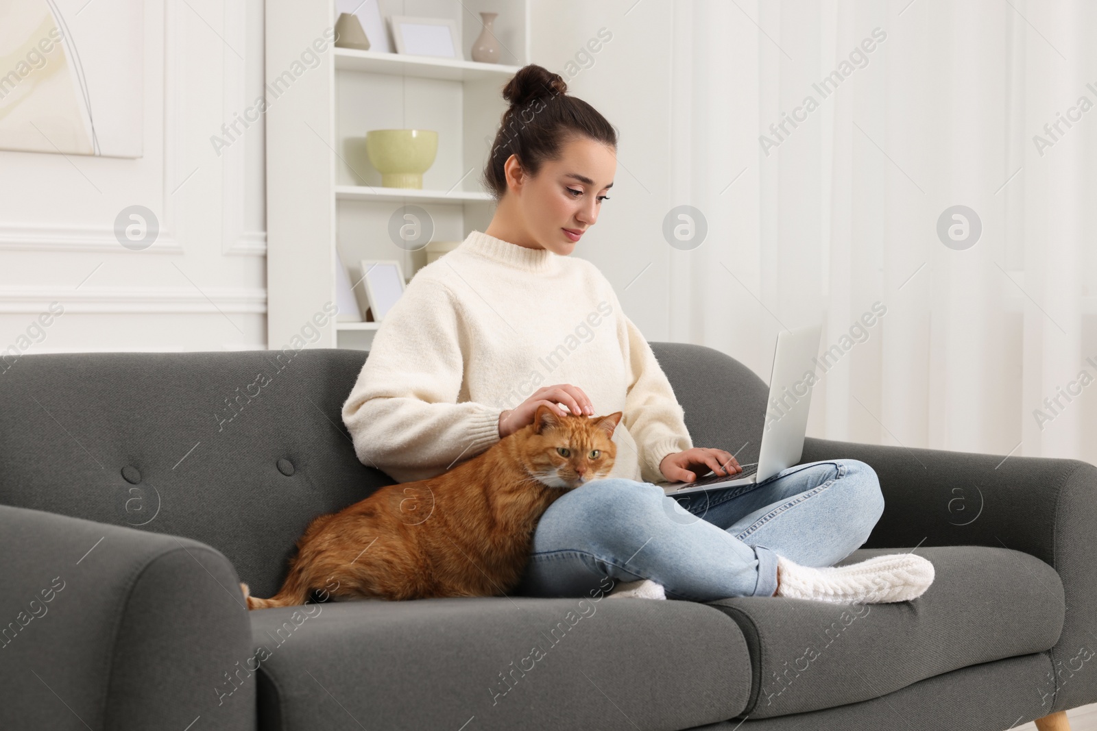 Photo of Beautiful woman working with laptop and petting cute cat on sofa at home