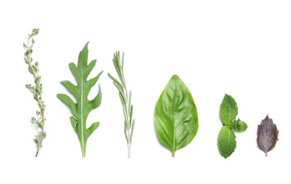 Photo of Composition with rosemary and other herbs on white background, top view