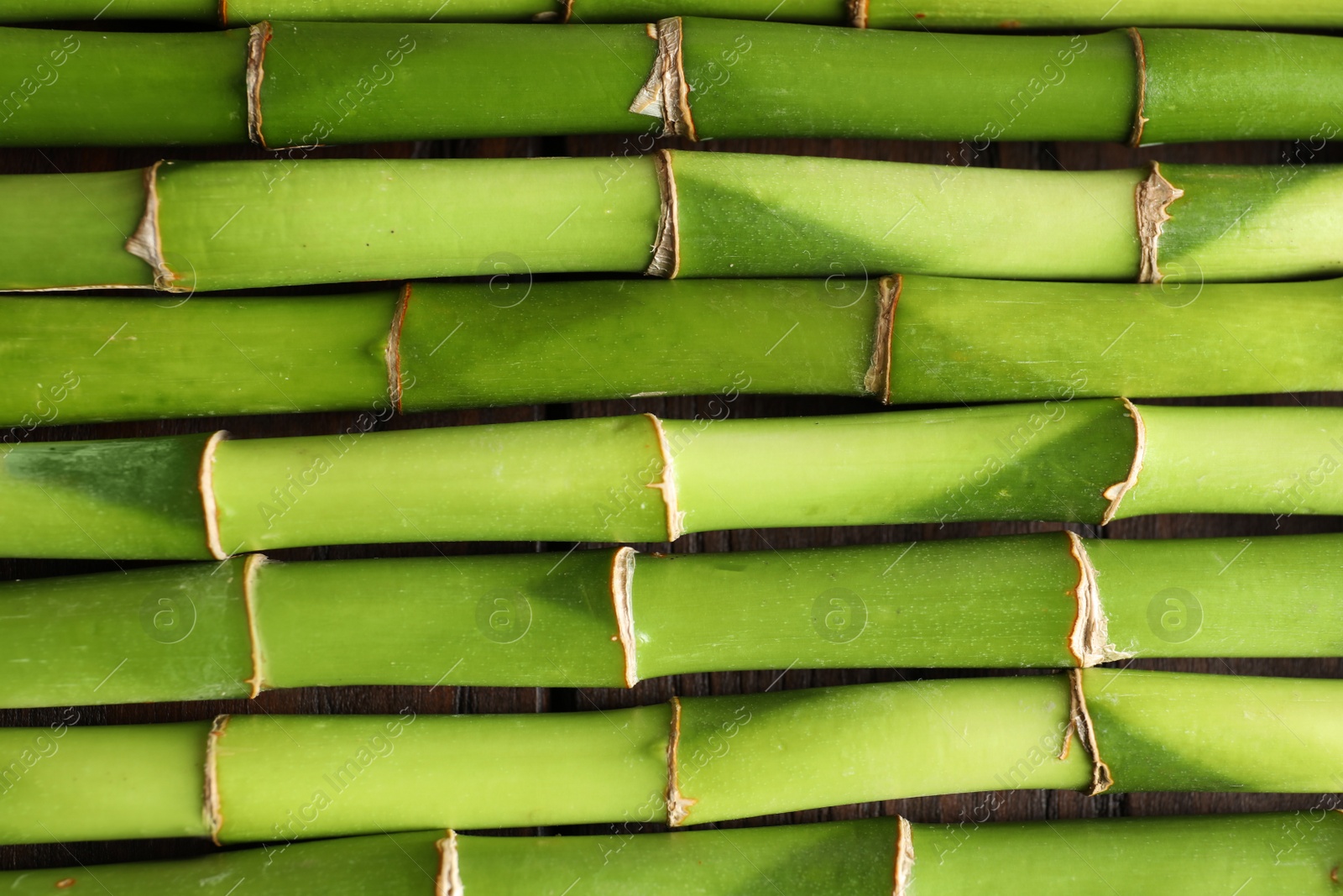 Photo of Green bamboo stems as background, top view