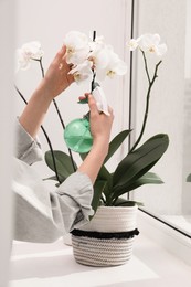 Photo of Woman spraying blooming orchid flowers with water near window, closeup