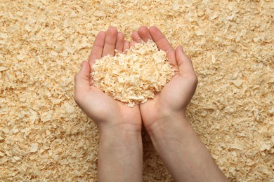 Woman holding dry natural sawdust, top view