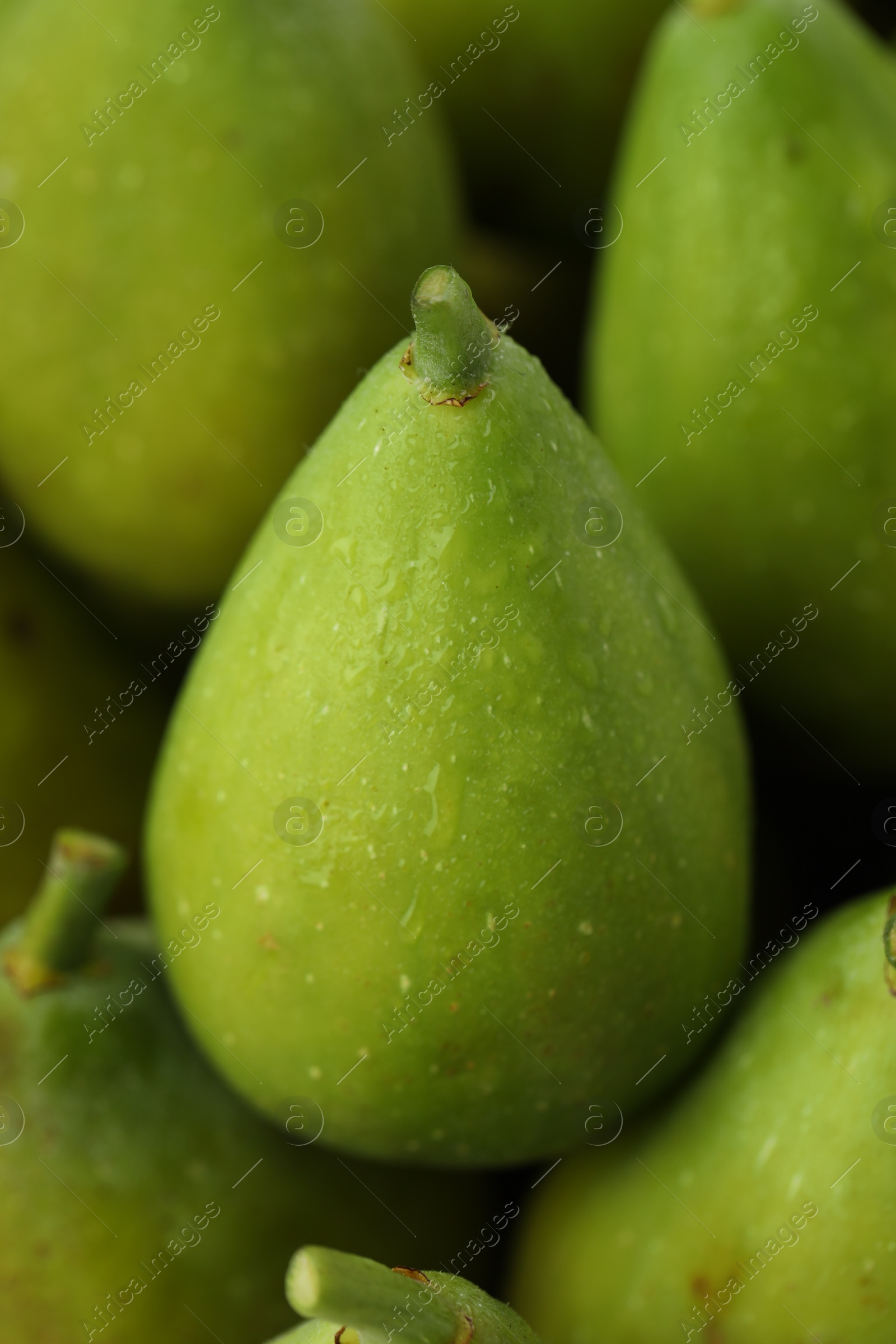 Photo of Many fresh green figs as background, closeup